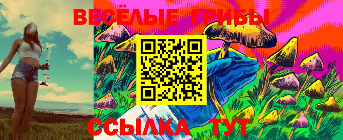 Щёлково  купить закладку  Псилоцибиновые грибы Cubensis  Вход с VPN  Галлюциногенные грибы мицелий 