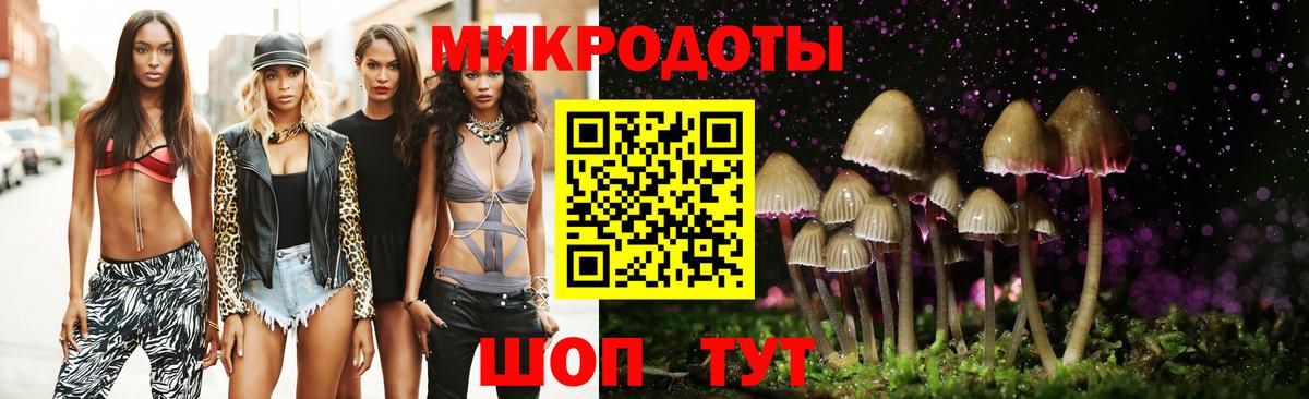 Галлюциногенные грибы Psilocybine cubensis Щёлково